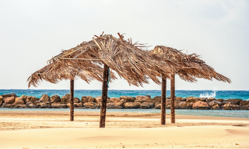 Autumn on the beaches of Israel