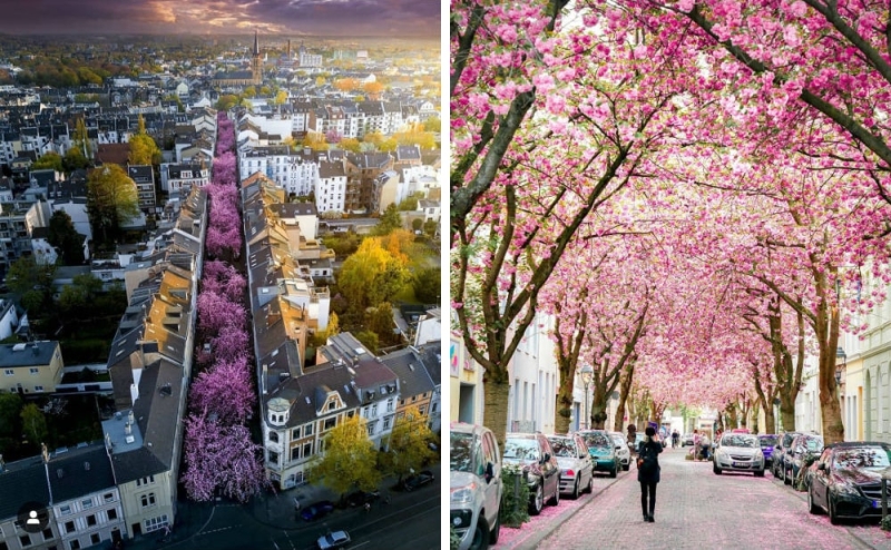 Blooming Europe: where to go in spring