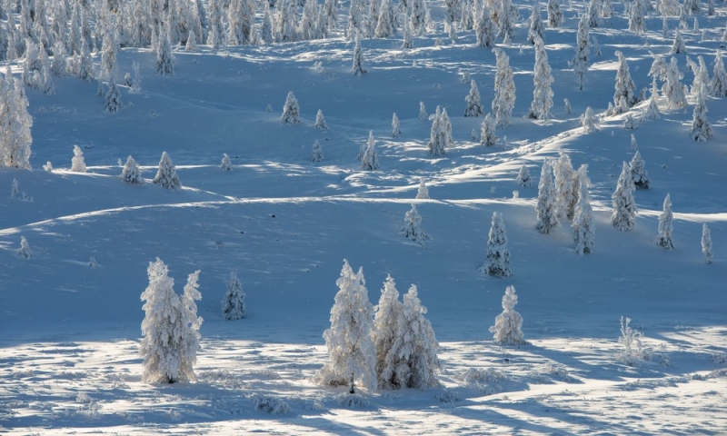 Last days of winter: admiring the landscapes of Russia