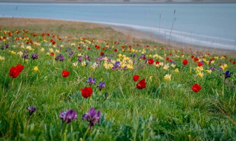 Primroses and sunny days: where to go to celebrate spring