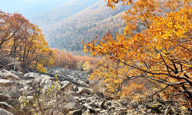 The beauty of nature all year round: Russian national parks