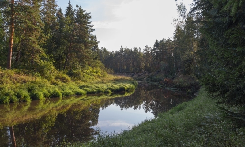 The beauty of nature all year round: Russian national parks