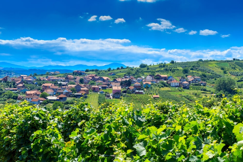 Wine tourism: a trip to the wineries of the world