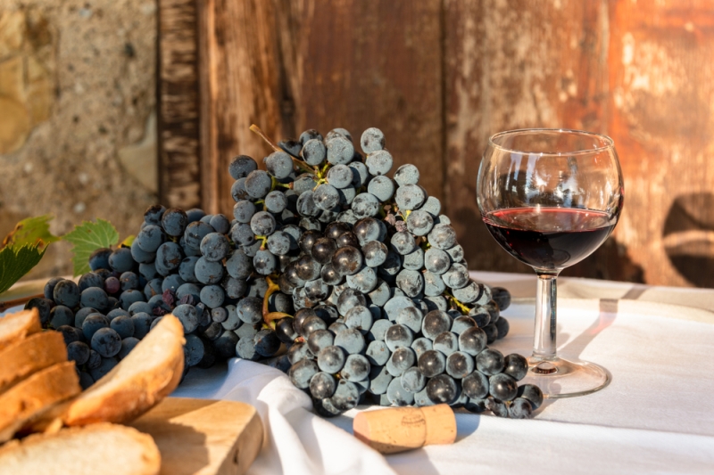 Wine tourism: a trip to the wineries of the world