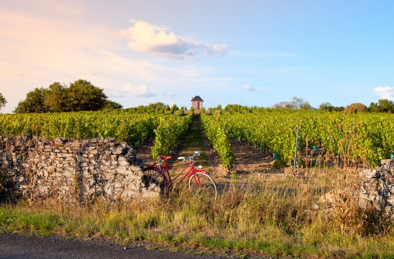 Wine tourism: a trip to the wineries of the world